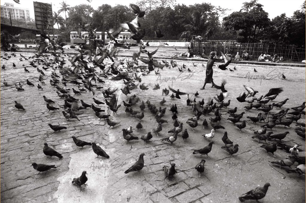 Tram in Kolkata 2010