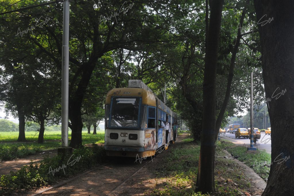 4.Tram in Maidan,kolkata 2017